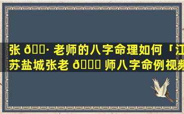 张 🕷 老师的八字命理如何「江苏盐城张老 🐎 师八字命例视频」